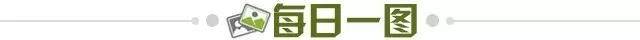 6eb1fcd0-4e39-4f6a-a8b9-6bea5eaecbd4.jpg@!img01